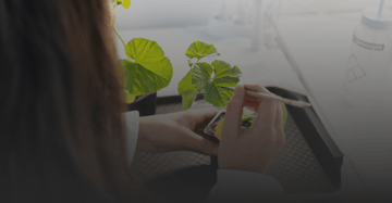 Agriodor 15M funding