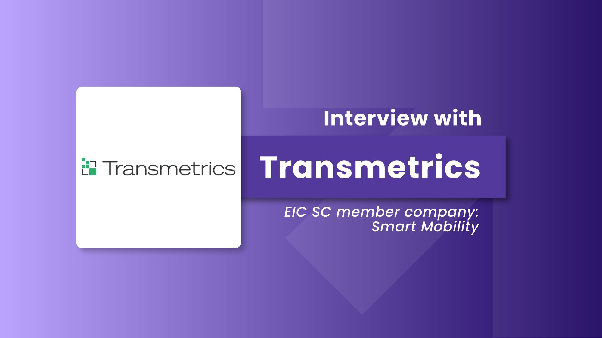 Transmetrics interview