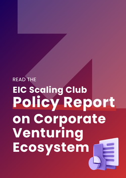 Scaleup Financing (2)