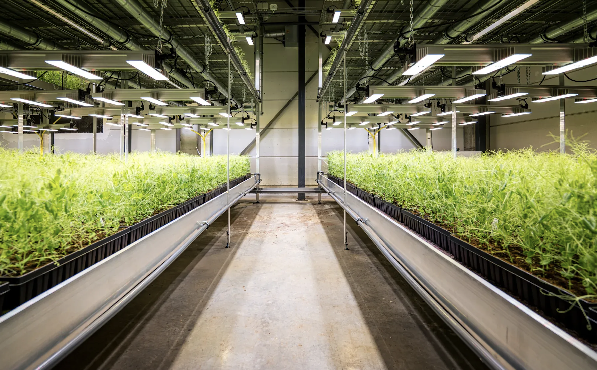 Screenshot 2025-11-06 at 11.13.55