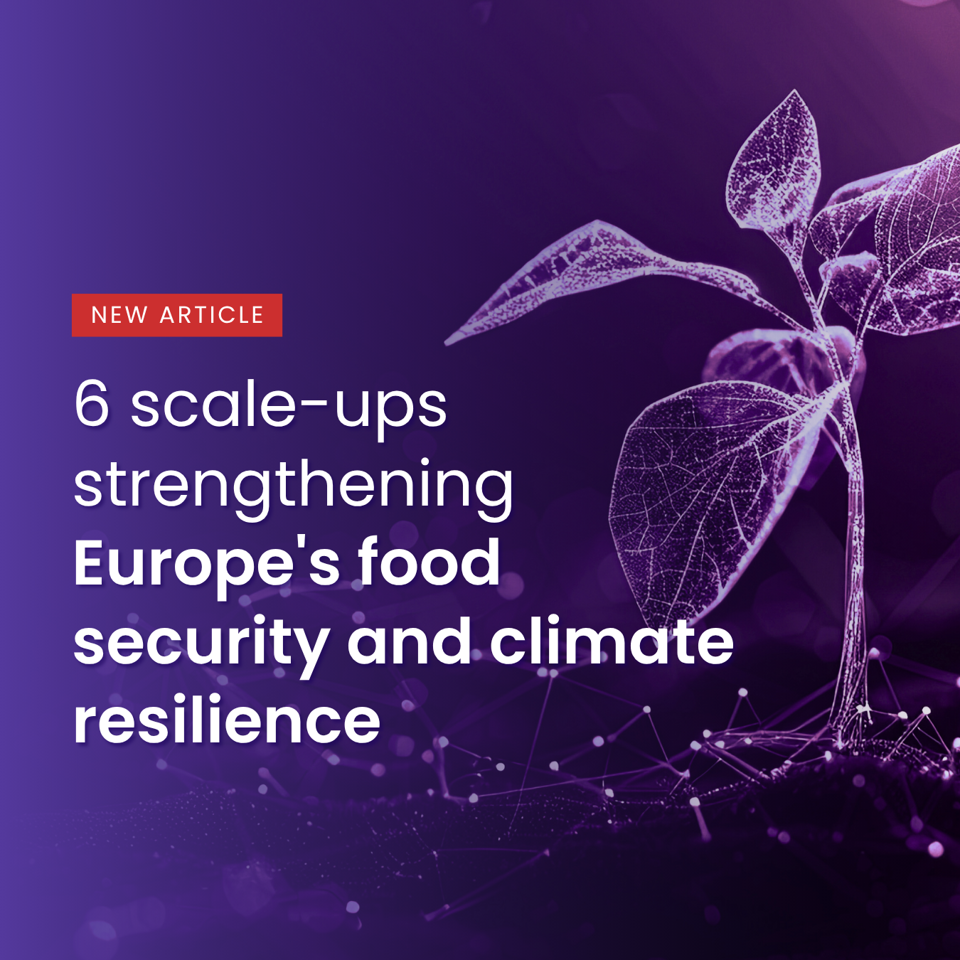 6 scale-ups strengthening Europe's food security and climate resilience